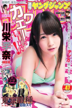 长风镖局 电视剧